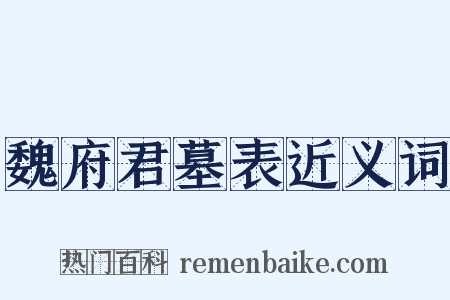 魏府君墓表近义词是什么意思的图片